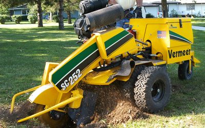 Don’t get a stump removal quote over the phone